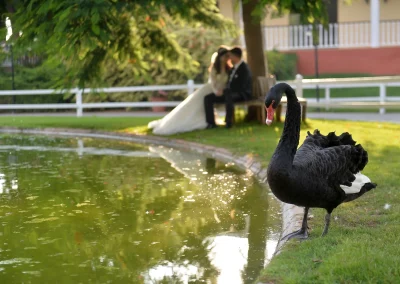 best photograph in Lebanon